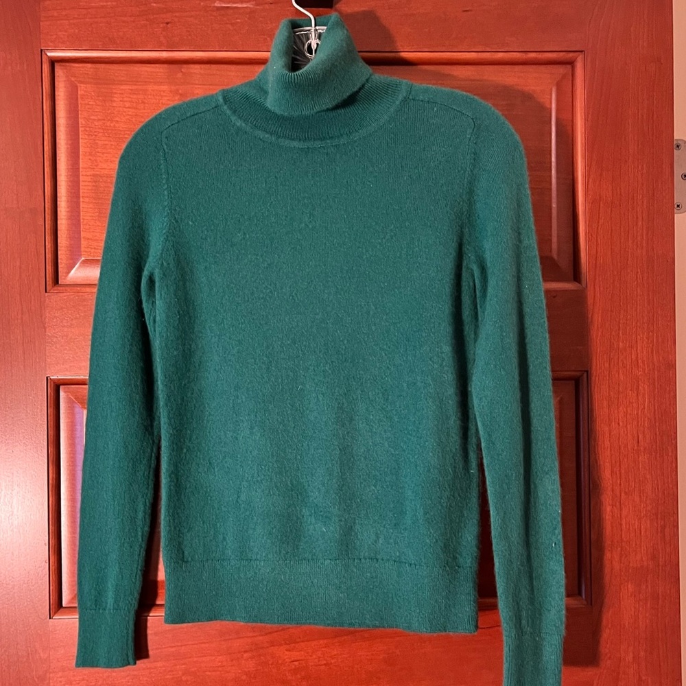 Quince Mongolian Cashmere Green Turtleneck